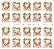 click for larger images