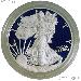 2015 Silver Eagle PROOF In Box with COA 2015-W American Silver Eagle Dollar Proof