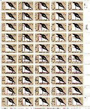 click for larger images