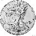 2020 Silver Eagle PROOF In Box with COA 2020-S American Silver Eagle Dollar Proof