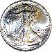 1989 BU American Silver Eagle Dollars