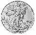 2024 American Silver Eagle Dollar BU