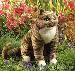 Folkmanis Brown Tabby Cat Puppet