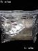 100 Kointain Museum Quality Coin Holders LARGE DOLLARS