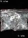 100 Kointain Museum Quality Coin Holders for CENTS