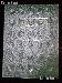 Littleton Blank Coin Folder for U.S. Cents LCFC