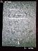 Littleton Blank Coin Folder for U.S. Nickels LCFN