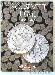 Harris Roosevelt Dimes 1965-1999 Coin Folder  2685