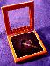 Glass Top Wooden Coin Box - Airtite "H" Capsule Holder